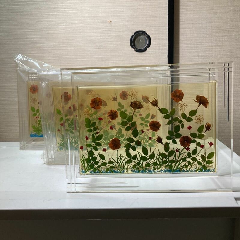 ●水槽 3個セット　金魚　魚　押し花？