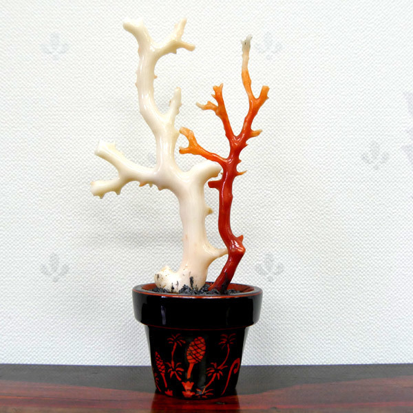 *I1574 お部屋の縁起物に最適な高知伝統工芸品 天然血赤＆白珊瑚 漆鉢 置物