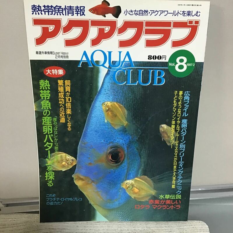 アクアクラブ 1997.2 ち⑤ 大特集 熱帯魚の産卵パターンを探る ロタラ マクランドラ プラチナ ロイヤルプレコ アフリカン ジャクソニィ