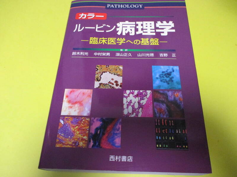 ★★★　カラー　ルービン　病理学　―臨床医学への基盤―　　★★★PATHOLOGY/西村書店　