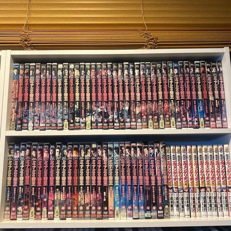 ミナミの帝王　全巻セット DVD 全65巻　ヤング編付き　ケース新品　レンタルアップ