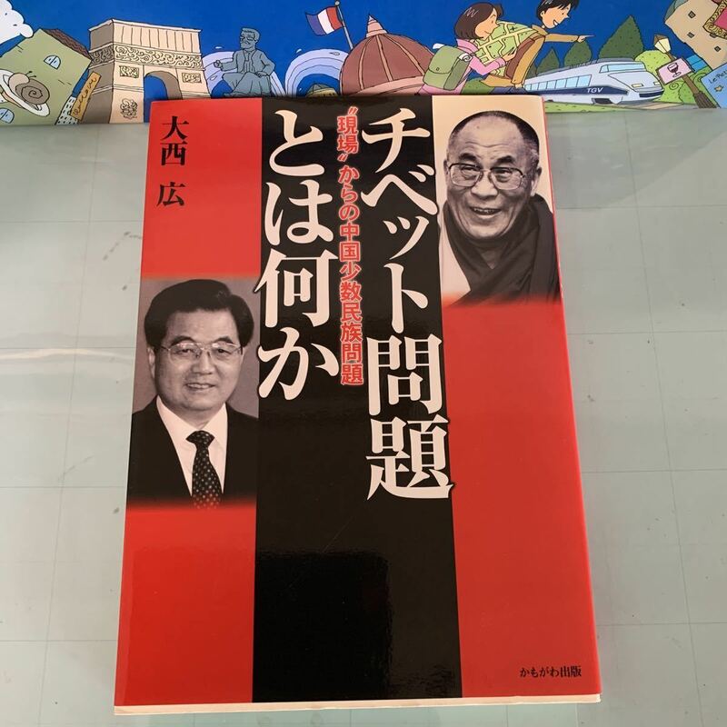 チベット問題とは何か―“現場”からの中国少数民族問題 2008/6/25 大西 広 (著)