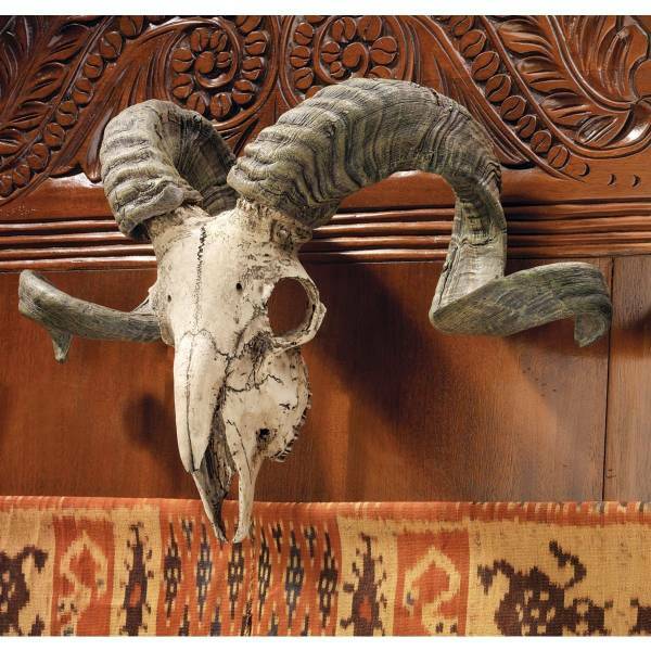 チベットヤギ 壁掛け スカルホーン 山羊頭蓋骨角模型標本頭骨壁飾りロングホーン置物彫刻スカルオブジェ雑貨ハンティングトロフィー
