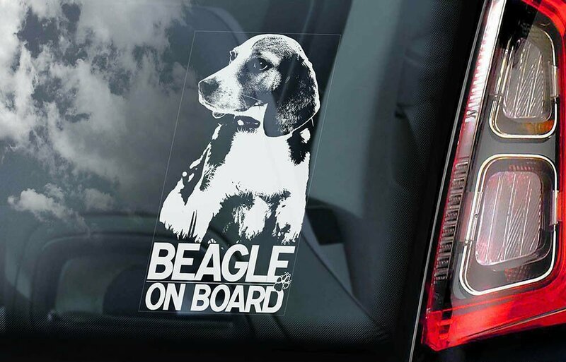 ◆送料無料【ビーグル】外張り カーステッカー 210×100mm 外貼り カー ステッカー 車 ガラス DOG ON BOAD 犬 D1@2780-1