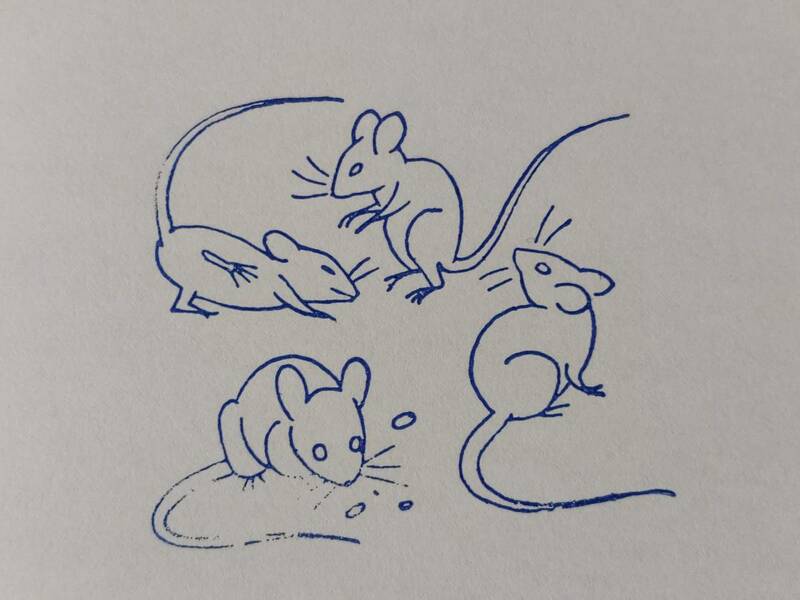ネズミさん　ねずみ　デグーマウス　小動物　家族　兄弟　ペット　フランス　アンティーク　スタンプ　ヴィンテージ　はんこ　イラスト　鼠
