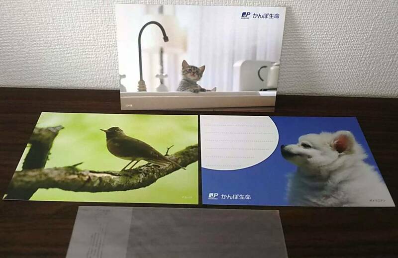 【送料￥180～】ポストカード 3枚 セット かんぽ生命 猫 犬 鳥 日本猫 アカハラ ポメラニアン 絵葉書 絵はがき ハガキ ネコ