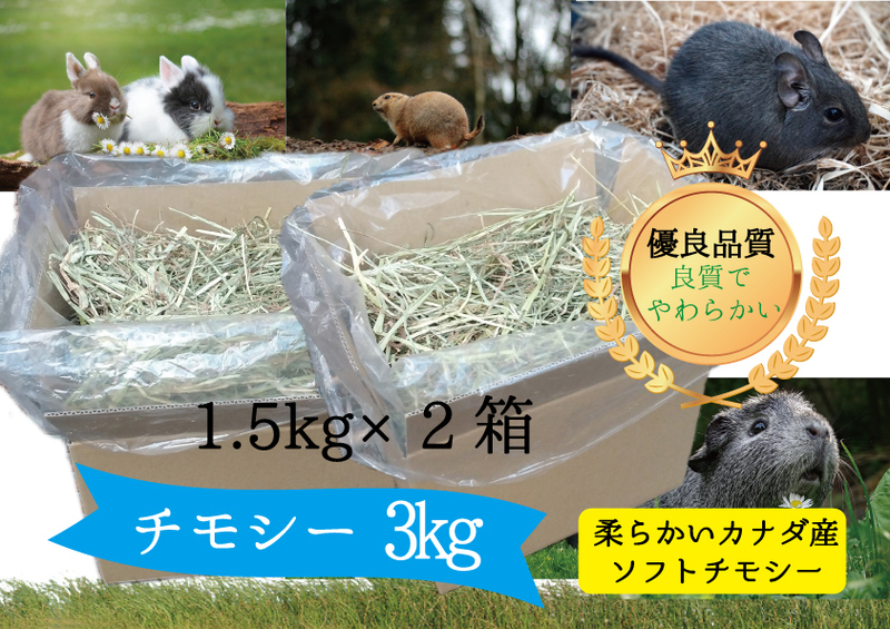 送料無料【新鮮カナダ産】優良ソフトチモシー3ｋｇ　牧草、乾草、ウサギ、デグー #3