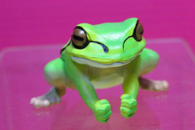 蛙力士　はっけよいフィギュア　小結アマガエル3