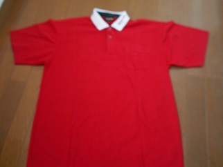 赤のポロシャツ
