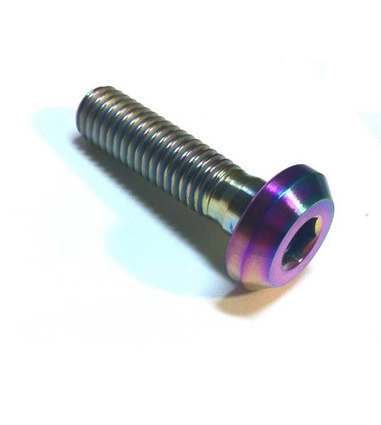 _64チタン合金 ワイド低頭M6x20　ラメ焼色入り　GR5 チタンボルト チタン合金ボルト