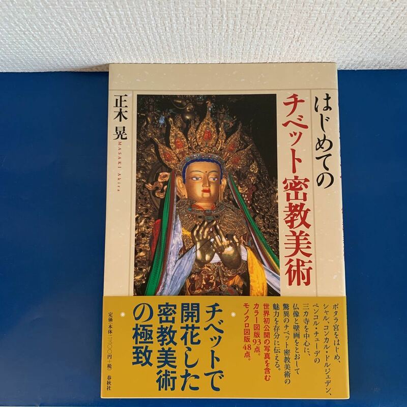 はじめてのチベット密教美術 2009/12/1 正木 晃 (著)