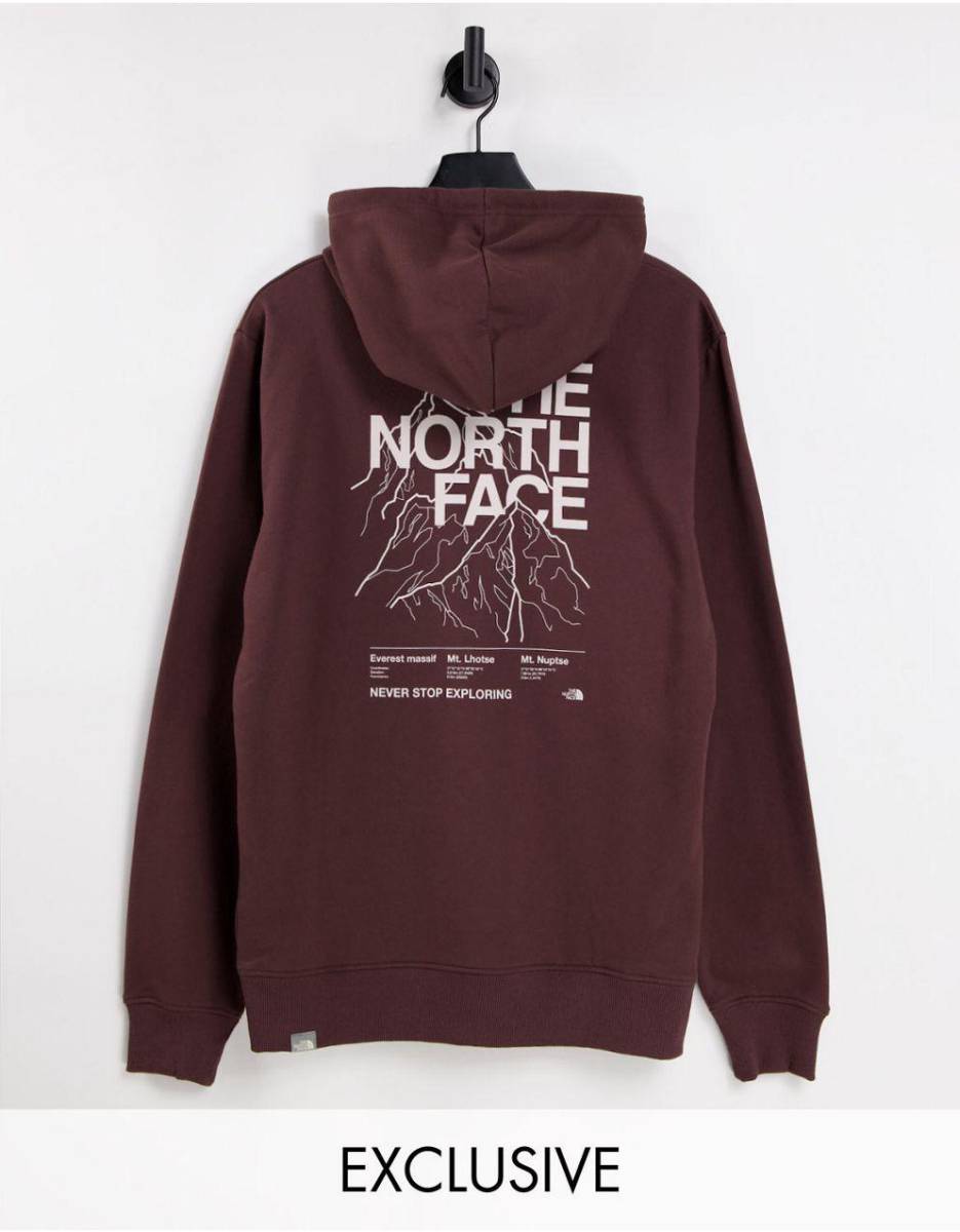 新品★正規品★未使用★未開封★Mサイズ！★ノースフェイス★THE NORTH FACE★パーカー★プルオーバー★欧州限定★国内未入荷★ロンドン発