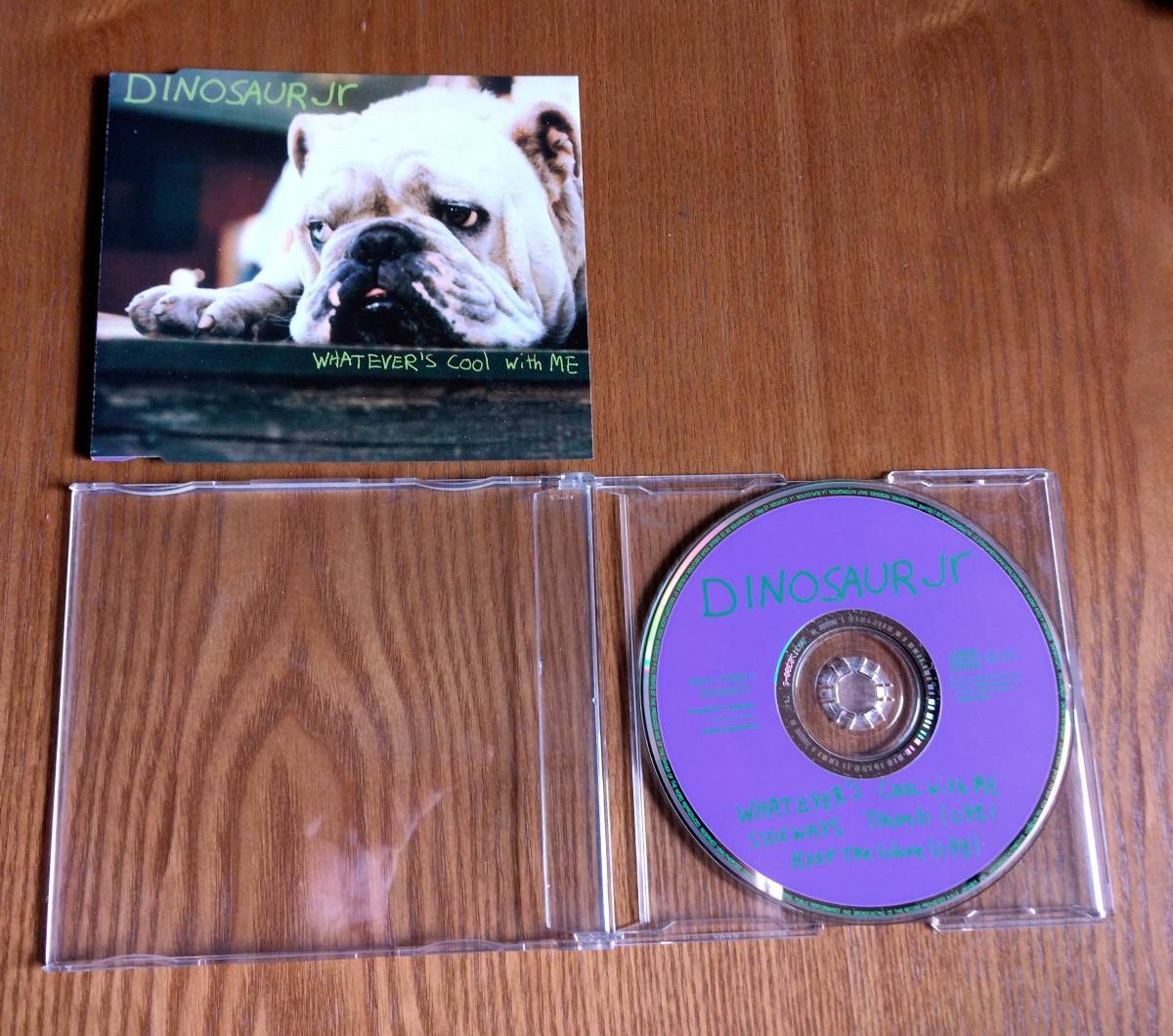 《新品同様》dinosaur jr whatever's cool with me ダイナソー JR クール・ウィズ・ミー 
