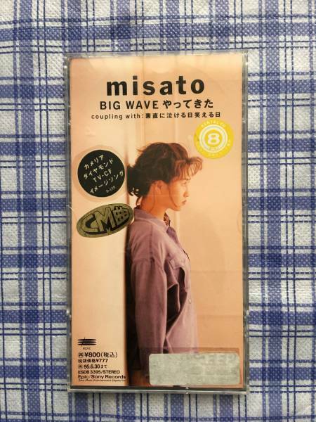 ■渡辺美里 BIG WAVE やってきた CD Single