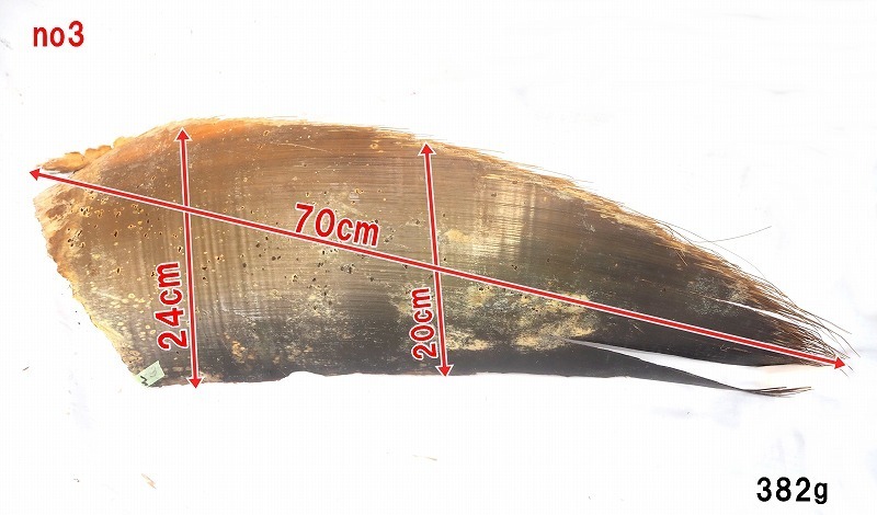 NO3 希少　クジラの髭　長期保管品　ハンドメイド　サイズは長さ70cm　