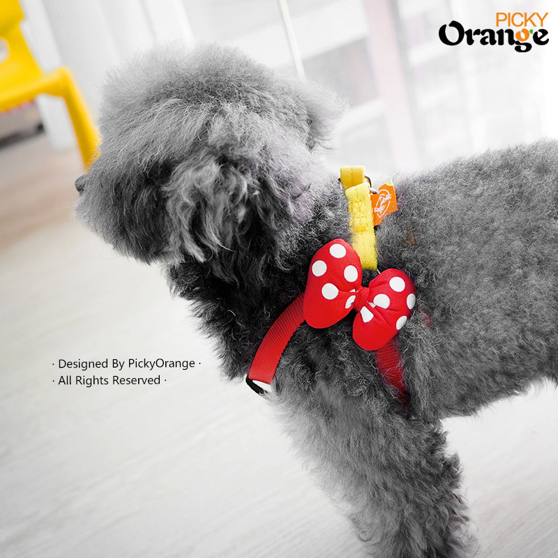 Picky Orange 遊園地シリーズ ■小型犬■フローラルパンダちゃん■ハンドメイド■首輪リード