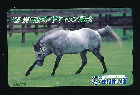 ●419●笠松競馬・けいば★’95第5回オグリキャップ記念 【テレカ50度】●