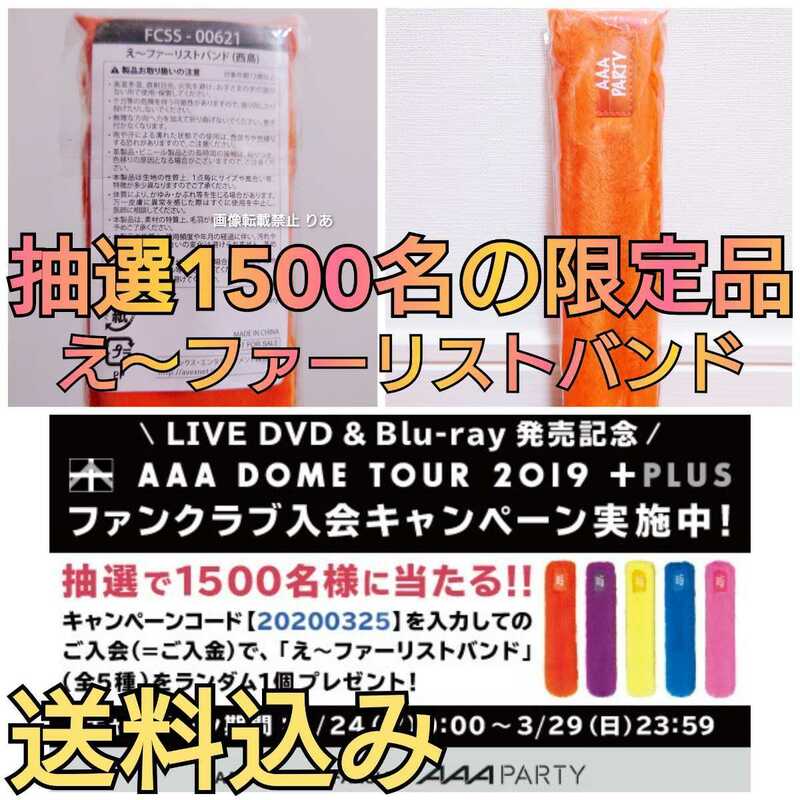 【送料込み】１５００名限定 西島隆弘 AAA え～ファーリストバンド Nissy 2019 DOME TOUR+plus グッズ