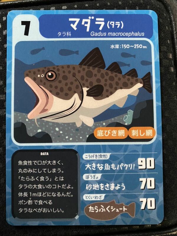 ふくしまの魚たちカード　福島県