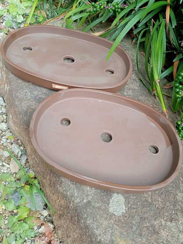 盆栽鉢 植木鉢　三共　小判型　サイズ違い　2個
