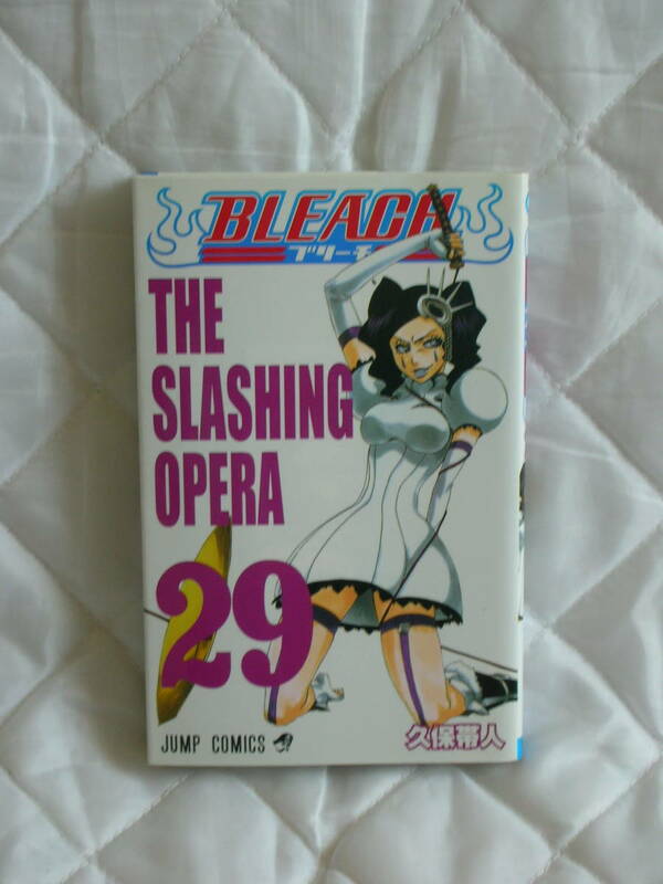 中古本　ＢＬＥＡＣＨ　29巻