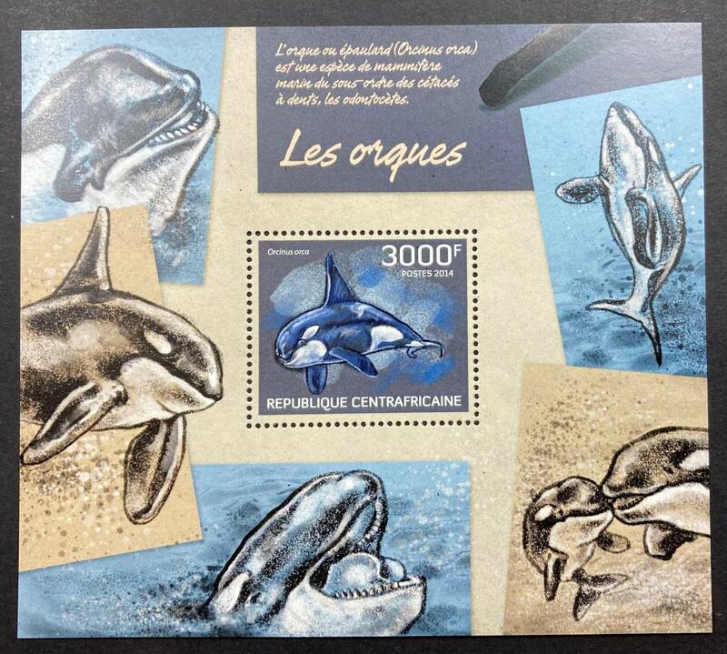 中央アフリカ 2014年発行 シャチ クジラ 切手 小型シート 未使用 NH