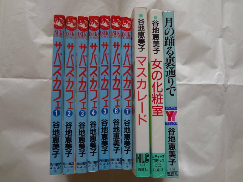 【送料無料】谷地恵美子　１０冊・大沢まき　５冊・前原滋子　4冊　計19冊セット