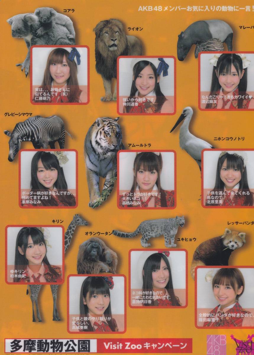 即決　AKB48　Visit Zooキャンペーン　クリアファイル　３種