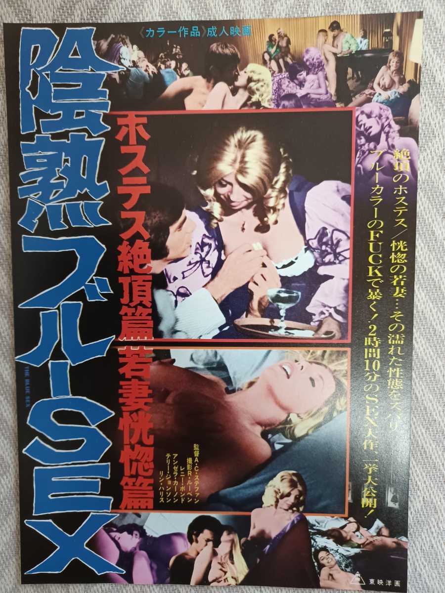 映画チラシ　陰熟ブルーSEX