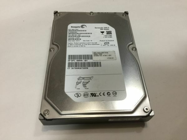 SEAGATE HDD ハードディスク　ST3250624AS 250GB 健康状態良好　 CA45SH 9907