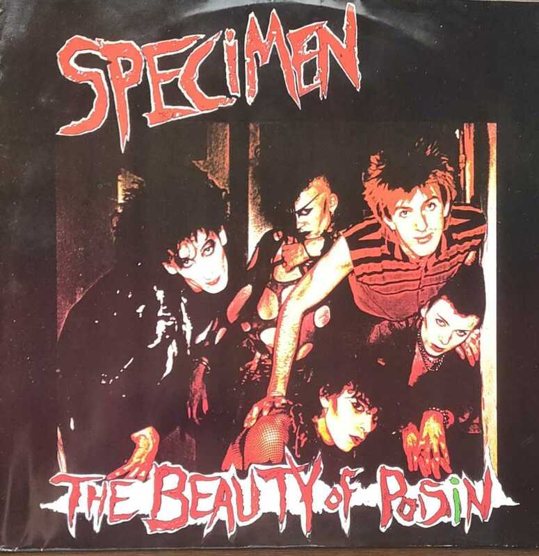 80s New wave SpecimenThe Beauty Of Poisin 12インチレコード