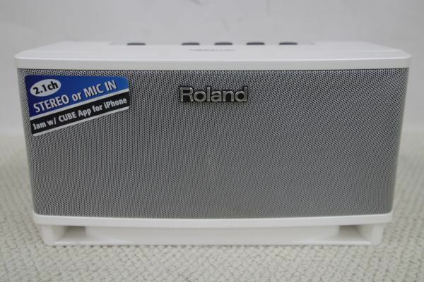 Roland ローランド Cube Lite Stereo Monitor Amplifier ステレオモニターアンプ (1408131)