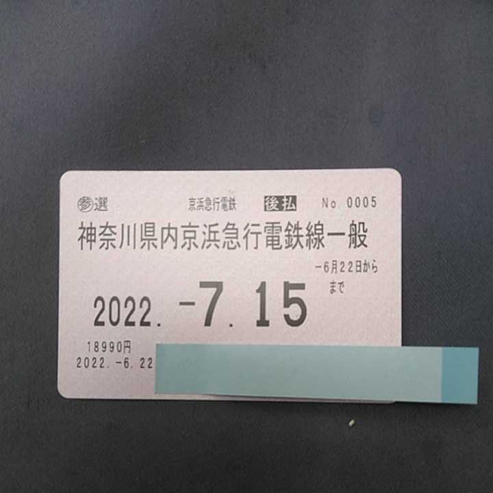 京浜急行電鉄　全線　参議院議員選挙用パス
