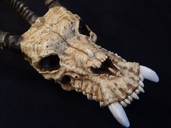 再値下 レア 迫力のある 骸骨 置物 髑髏 エスニック スカル ボーン 悪魔　ディスプレー 魔術 骨 洋風 装飾 小物 店舗 占い 動物
