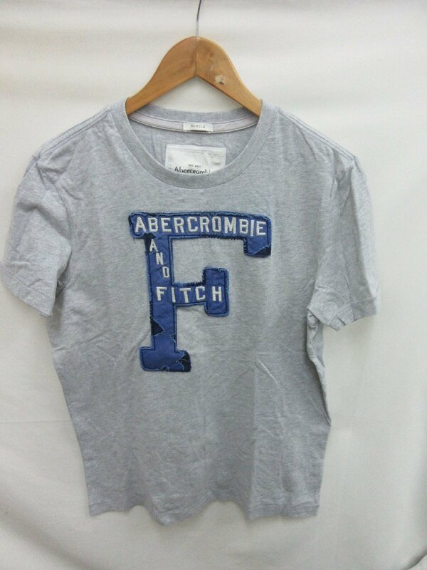 アバクロンビー＆フィッチAbercrombie & Fitsh Tシャツ　サイズL