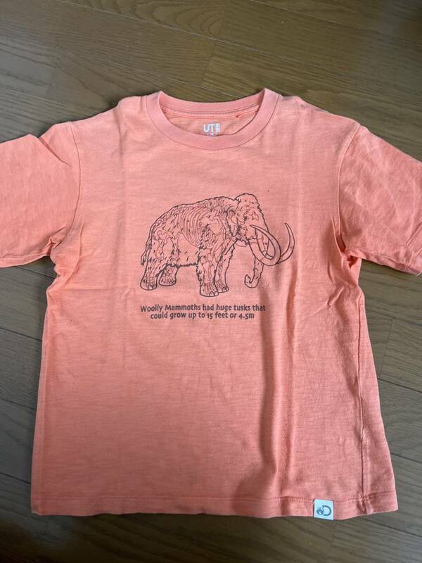 UNIQLO 140 マンモス ユニクロ 動物 生き物 Tシャツ キッズ KIDS 半袖 男の子 ディスカバリーチャンネル コラボTシャツ オレンジ