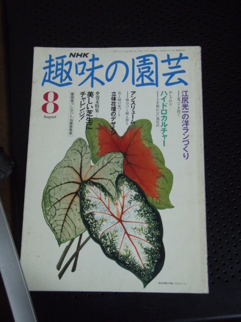 NHK 趣味の園芸 1991年8月号