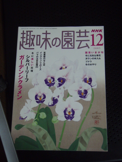 NHK趣味の園芸　2005年12月