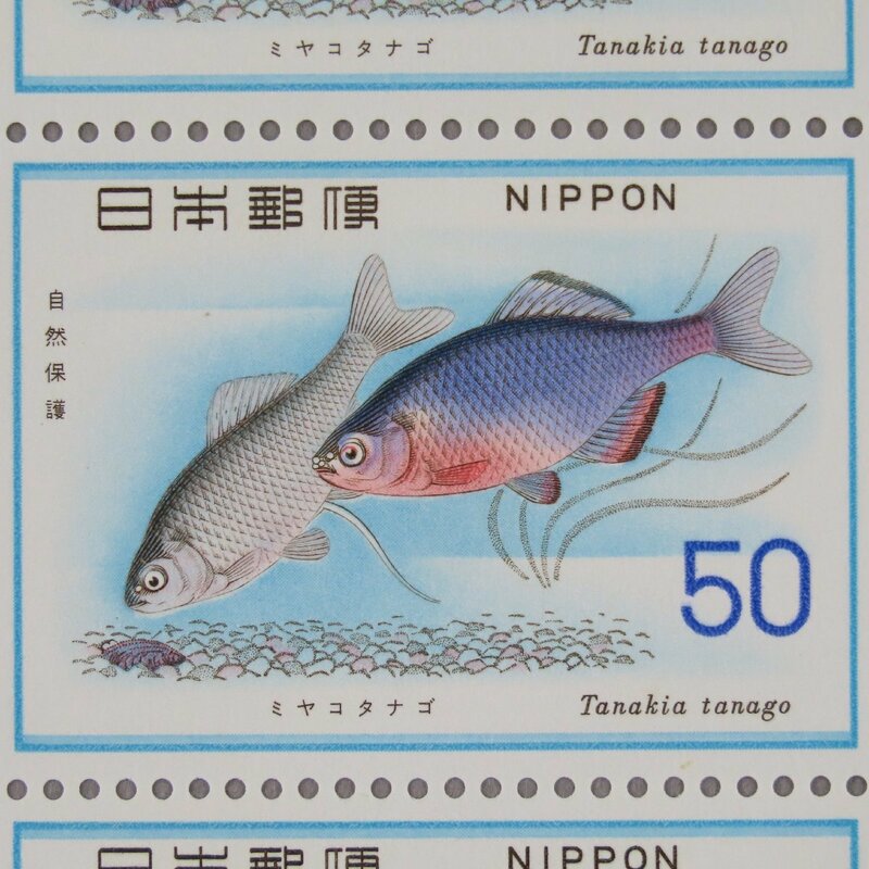 【切手0644】自然保護シリーズ 魚類 ミヤコタナゴ 50円20面1シート