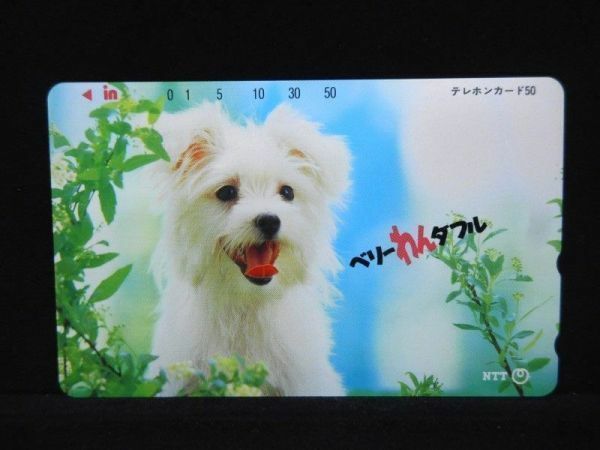 テレカ ベリーわんダフル 犬 50度数 未使用 T-1017