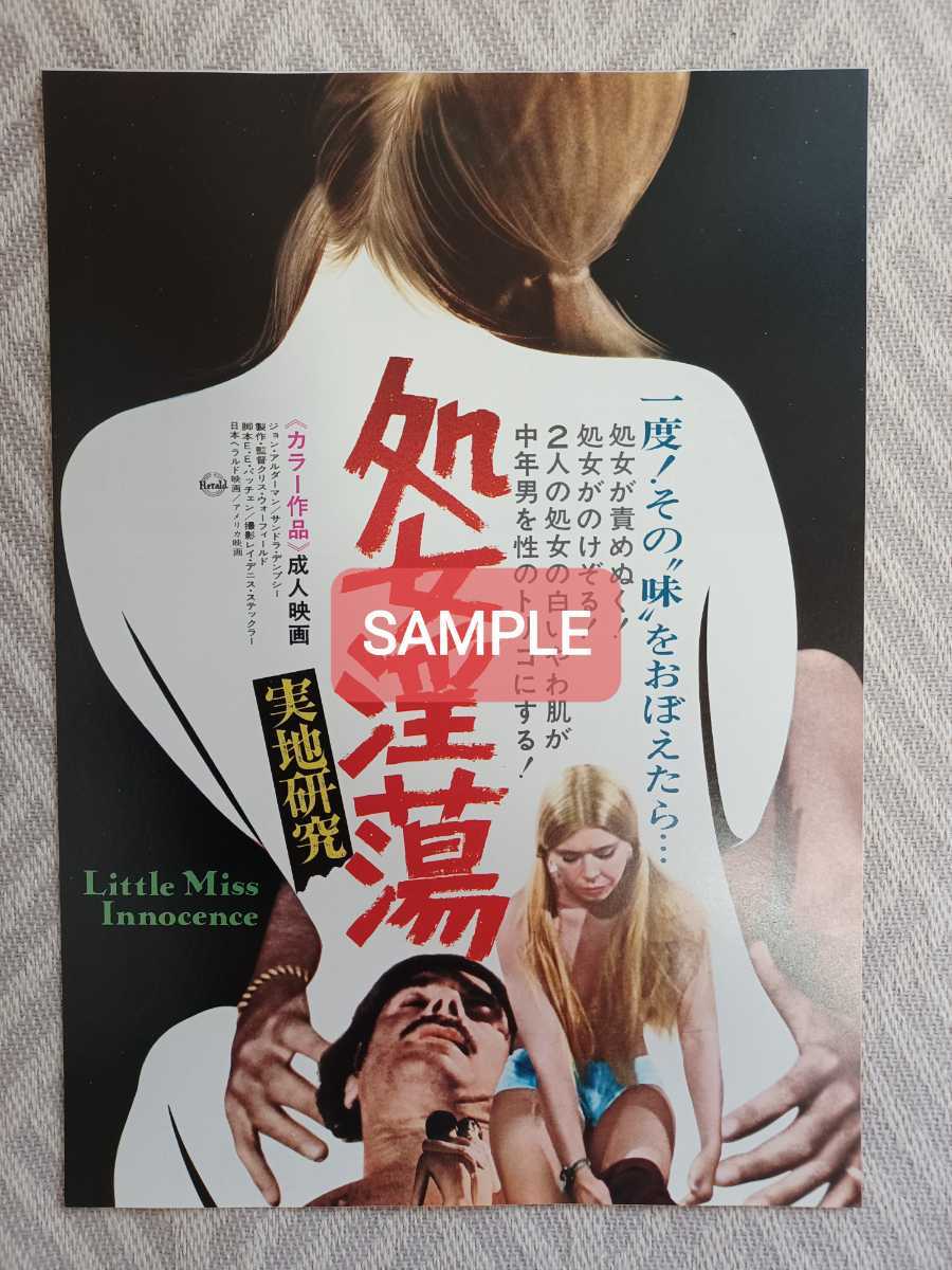 映画チラシ　処女/実地研究