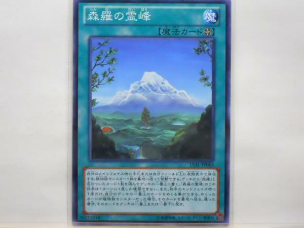 遊戯王　森羅の霊峰　ノーマル　