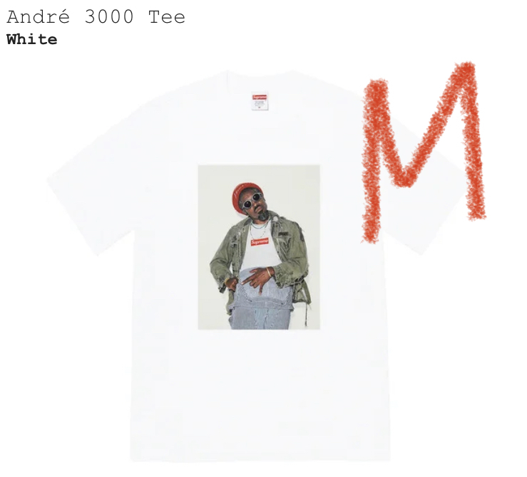 【新品正規】白 M / 22aw supreme Andr 3000 Tee White / Andre 3000 Tee Tシャツ　フォトT シュプリーム アンドレ