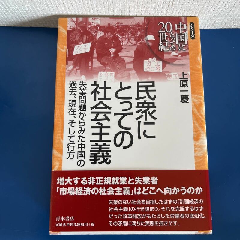 民衆にとっての社会主義―失業問題からみた中国の過去、現在、そして行方 (シリーズ 中国にとっての20世紀) 2009/11/6 上原 一慶 (著)