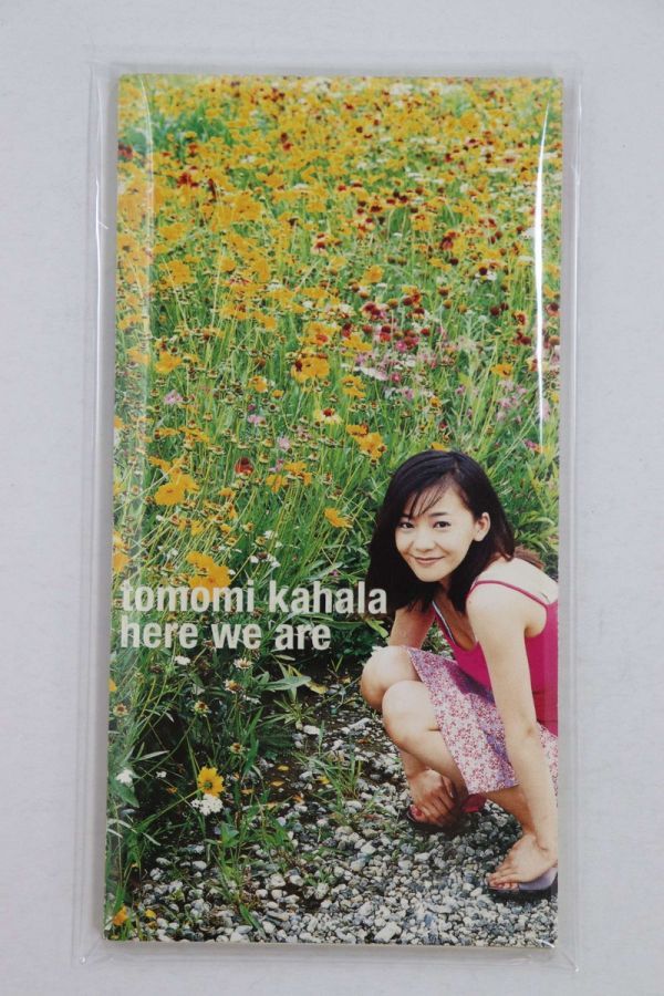 ■ＣＤ■ｈｅｒｅ　ｗｅ　ａｒｅ■華原朋美■中古■