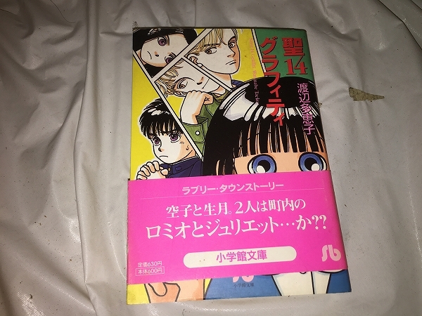 【渡辺多恵子　聖14グラフィティ／文庫版】　　（全1巻）