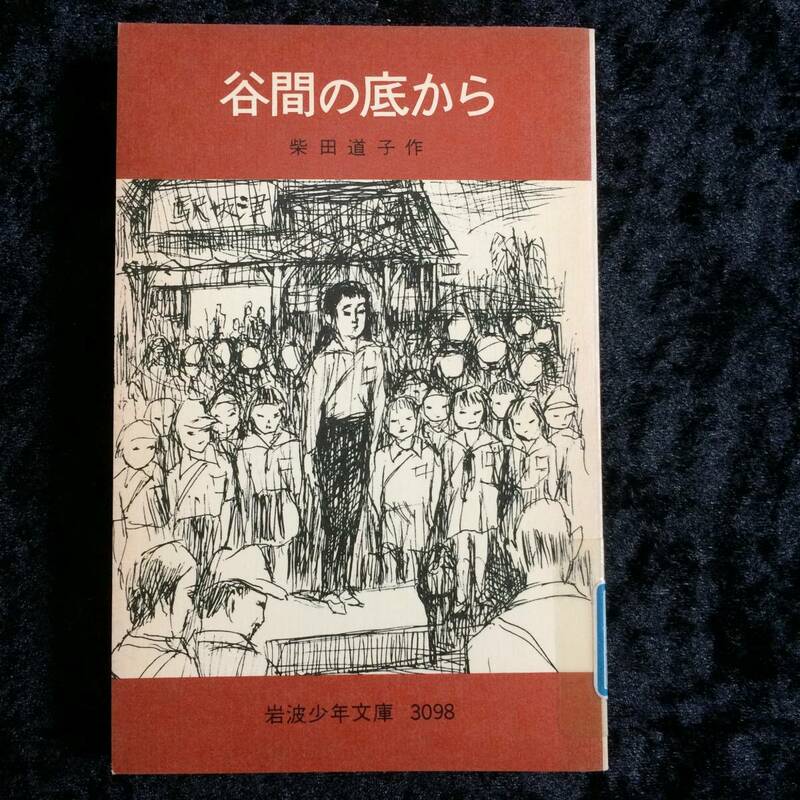 岩波少年文庫　旧版　ソフトカバー　谷間の底から　※図書館除籍本