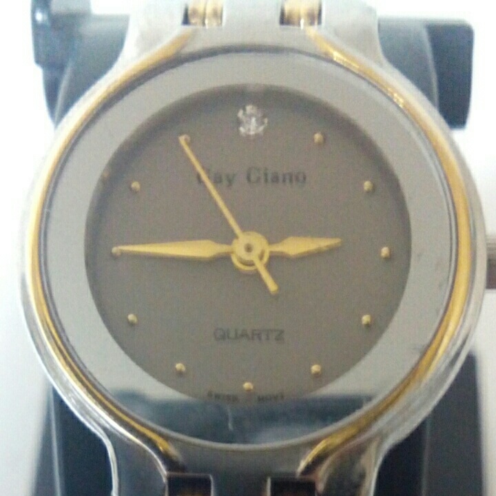 腕時計 Gay Giano
