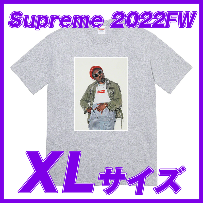 1765　Supreme _Andre_ 3000 Tee(HeatherGrey) XL / シュプリーム　アンドレ３０００Tee ヘザーグレー　XLサイズ 2022FW