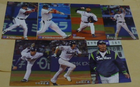 2005～25カルビープロ野球チップスカード東京ヤクルトスワローズ(由規・坂口・小川・青木・高津監督)36枚セット 枚数増 ベースボールトレカ